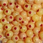 TROUTBEADS® Blood Dot Eggs Egg Yolk