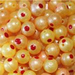 TROUTBEADS® Blood Dot Eggs Gold Roe