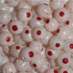 TROUTBEADS® Blood Dot Eggs Milt Roe