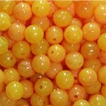 TROUTBEADS® Egg Yolk