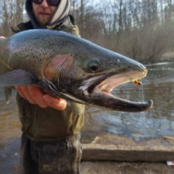 drifterskyped drifterskyped