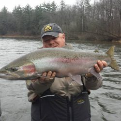 jonkolehouse jonkolehouse