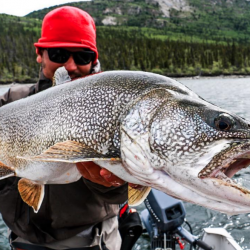 Screen Shot 2022-02-21 at 3.39.22 PM Screen Shot 2022-02-21 at 3.39.22 PM